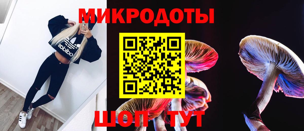 Псилоцибиновые грибы Psilocybine cubensis Абинск